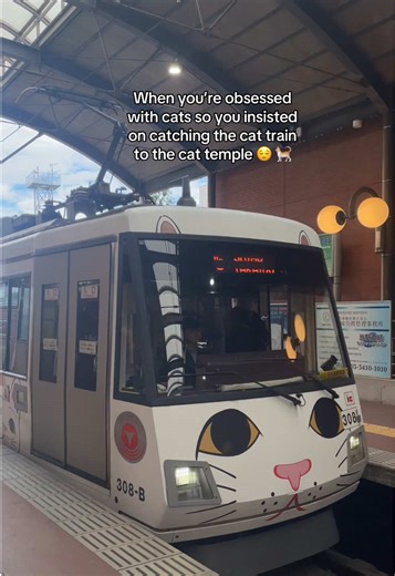 Exploring Japan's Cat Temple with Cat Train Adventure