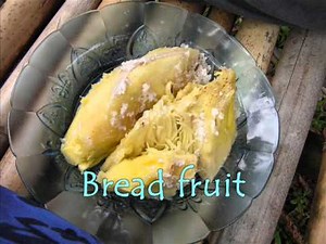 Good Home Cooking - Vanuatu Local Food