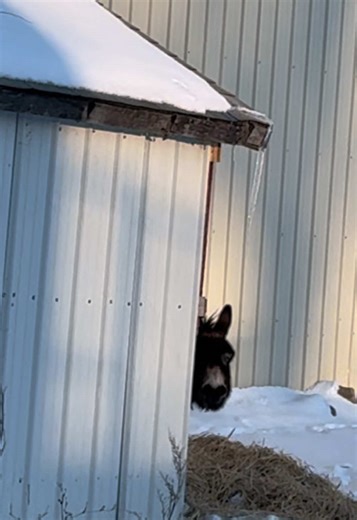 Positive Weather Update: Blue Skies Today!