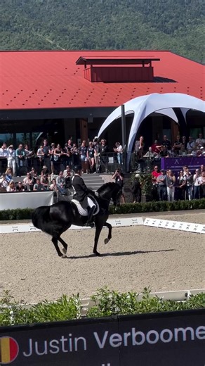 #horses #horseedi #Stallion #equestrianedit #dressage