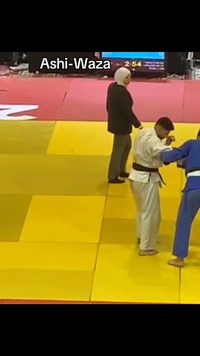 Mastering Judo Techniques: The Best of Ashi-Waza