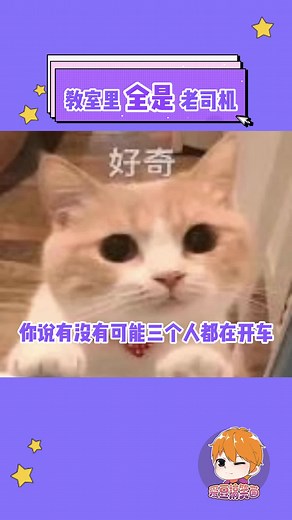 xo_funnyidol10 on TikTok