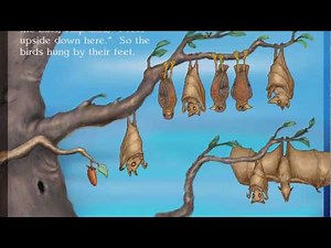 Living Books: Stellaluna - Part 13 - Read and Play (Gameplay/Walkthrough)