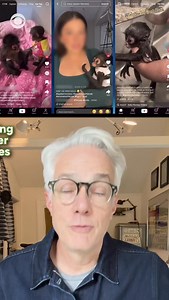 6.8K views | Cute baby spider monkeys have become popular on social media — but the journey of those babies to the U.S. is often a dark path. Poachers are going into the forests of Mexico, shooting families of monkeys, and ripping the babies from their mothers’ backs after they fall to the ground. After sedating, binding and stuffing the monkeys into bags, the animals are then sold to people as pets on social media. | CBS News Planet | Facebook