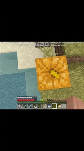 I want pumpkin • Minecraft #minecraft #pubgmobile #shorts