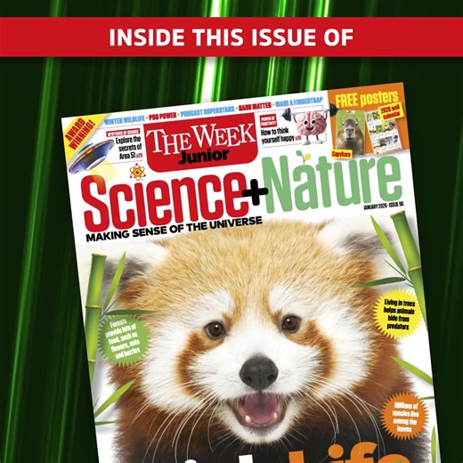 The new issue of Science Nature is here. Children will: 🐒 Hang out with the most adorable animals living above our heads 🎙️ Meet Michael Stevens and Hannah Fry, the stars of new podcast The Rest Is Science. 🛸 Go undercover to investigate the mystery of Area 51 And much more! #newissue #sciencemagazine #kidsmagazine #learning #STEM #BSMECoveroftheMonth #science #nature #scienceforkids #TheRestIsScience | The Week Junior Science Nature