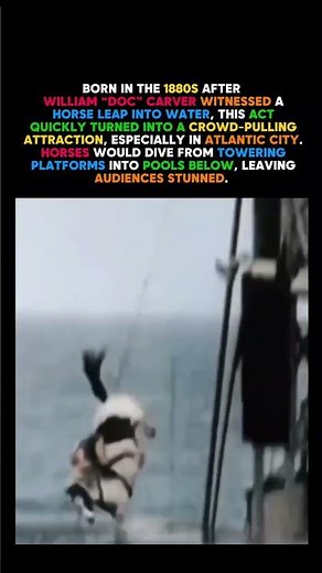 The Shocking Truth of Horse Diving A Forgotten Spectacle#History #HorseDiving #AtlanticCity🐎