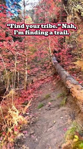 Stepped out to clear my head and ended up starring in my own little nature episode. Sometimes you just need a trail, some quiet, and the kind of peace that reminds you who you are. Out here, it’s easy to breathe again. #SedonaVibes #TrailMagic #NatureRecharge #GetOutsideMore #SoulFreshAir | Sionna Skye - Sedona Healing Guide