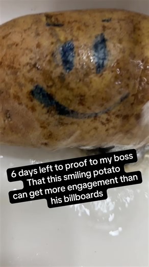 The Smiling Potato's Journey to 1,000 Followers
