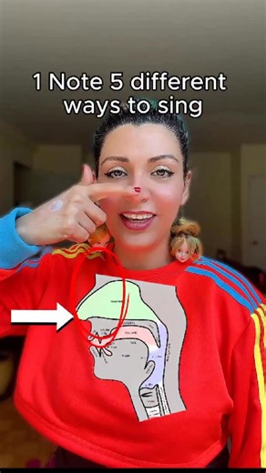 👉This is from the ’Singing Course for Visual Learners’ where you learn singing step-by-step with visuals! ✅Check it out. The link is in my bio 1. Head Resonance – Vibrations felt in the head or skull area, giving your tone a light and airy quality. 2. Nasal Resonance – Sound waves resonate in the nasal cavity, adding brightness and focus to the voice. 3. Oral Cavity Resonance – The mouth shapes and amplifies the tone, helping with clarity and articulation. 4. Laryngeal Resonance – The sound res