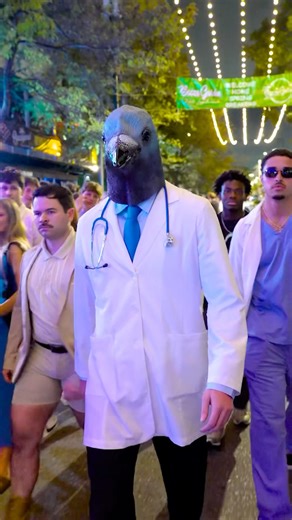 Pigeon doctor spotted in REAL LIFE