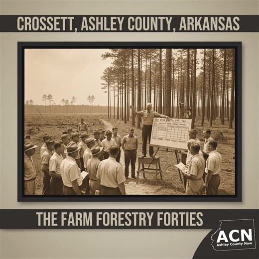 The Farm Forestry Forties In 1934, the Crossett Lumber Company (CLC) had a visionary new strategy—"perpetual operation"—and a new "living laboratory" in the Crossett Experimental Forest (CEF) to help them figure it out. But this sustainability model had a massive, looming problem that the company couldn't solve on its own. The CLC's own vast land holdings were just one part of a much larger regional puzzle. The surrounding landscape was a patchwork of thousands of small, independent farms and wo