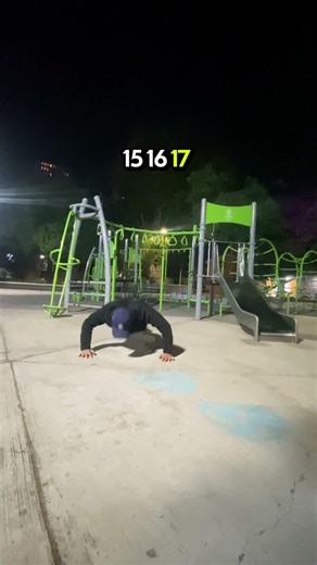 DIA 31 HACIENDO UNA LAGARTIJA MAS POR CADA DIA DEL AÑO QUE PASE