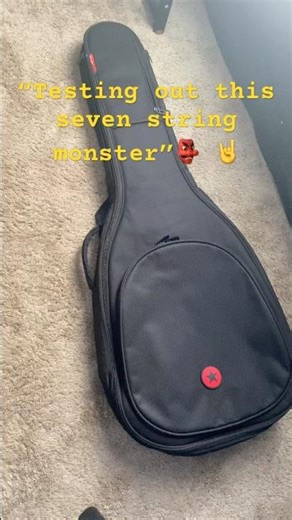 “Seven string Guitar” (Schecter))