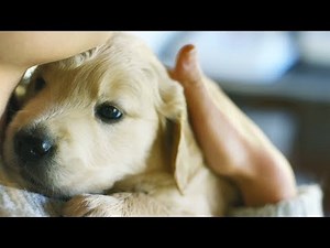 Sevgi Gününüz Kutlu Olsun.