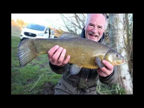 Norfolk Tench Fishing