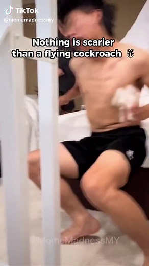 Hilarious Flying Cockroach Memes Compilation