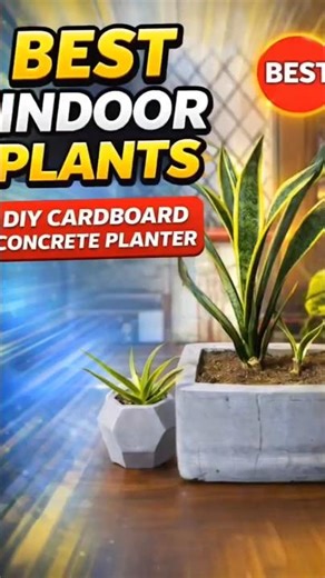 🌿 Don't buy Planters - Make this in a Day ! Stunning Concrete Cardboard Planter. #plants #handmade