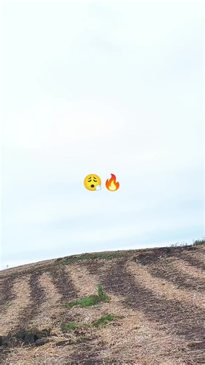 Videos de 🚀 (@geovani.ramirez79) con “Nalguita y Teta - Neton Vega”