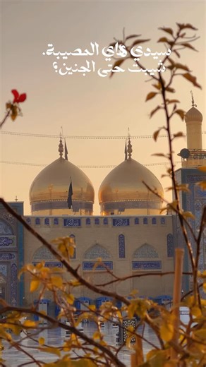 ‎حمودي تركماني 📸اجواء كربلاء‎ on Instagram‎: "بالسجنَ تبديَ حياتكَ وانتَهى عمركَ سجينَ😔🥺😭😭يامولاي سيدي هاي المصيبة. شيبت حتى الجنين؛ من ازورٌ الكاظميهَ اسمع ٌ بقبرك أنينَ سلامَ الله علىَ موسىَ ابنُ جعفر والجوادَ احلى ايام 🥺❤️‍🩹هذا غريب منين ٢٥ رجب بذكرى استشهاد موسى بن جعفر اجواء كاظمية . . . . #استشهاد #موسى_الكاظم #موسى_بن_جعفر_الكاظم #ياكظمين_الغيظ💔💔😢😢مأجورين___ياموالين____واحسن___لكم__العزاء😔 #يامسموم_يامظلوم_ياباب_الحوائج😭 #ياباب_الحوائج #٢٥_رجب_استشهاد_الإمام_الكاظم_ع #بغداد #