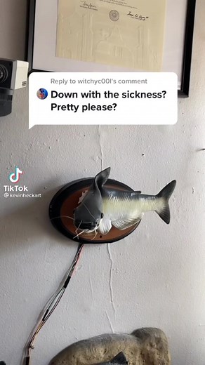 562K views · 10K reactions | Webm thread on Reels | Facebook