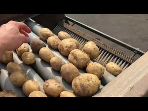 Potato sorting machine Compas AS80 Schouten Sorting