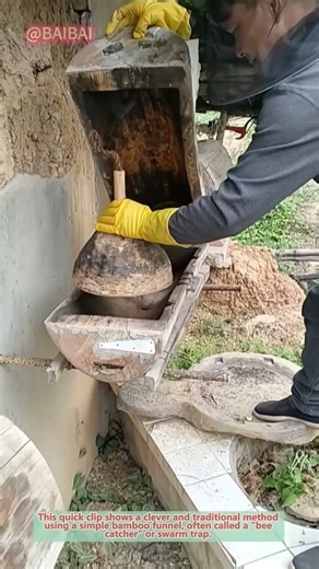 How to Transfer a Wild Bee Swarm to a Hive!