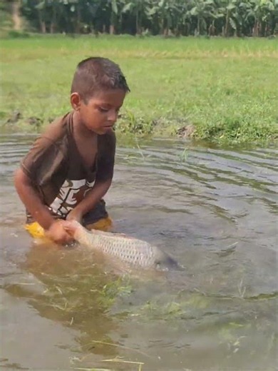 Amazing Boy Catching Fish By Hand