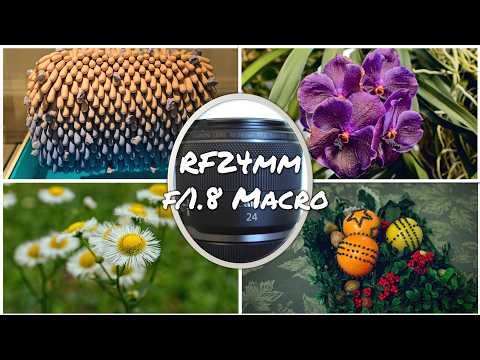 Canon RF 24mm f/1.8 Macro User Guide: Unlock the Potential of Your Budget Wide-Angle Lens!