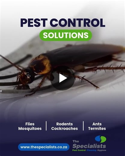 #cockroachinfestation #homesafety #pestalert #thespecialists #healthhazard | Pest Control Specialists™ West Coast