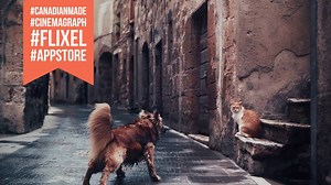 Happy to announce that Flixel Cinemagraph Pro for Mac and iOS are featured right now in the App Store. We're part of a new App Store "Canadian Made, Internationally Loved" promo that features great apps from Canada. Thanks to everyone who loves making cinemagraphs as much as we do! #flixel #cinemagraph by Thomas Brand https://www.facebook.com/pherkel | Flixel