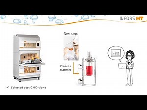 INFORS HT Webinar: Cell Culture Process Transfer from Shake Flasks to Bioreactor