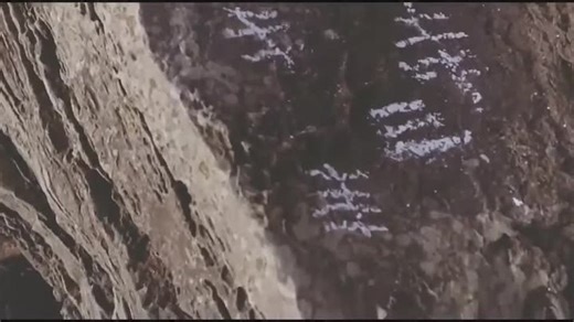 Peter Green ❀ Apostle ☆HD☆