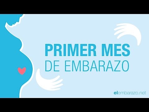 Primer mes de embarazo | 1 mes de embarazo | El embarazo mes a mes