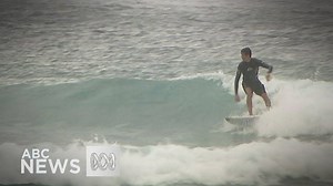 25K views · 437 reactions | A 16-kilometre stretch of the Gold Coast...