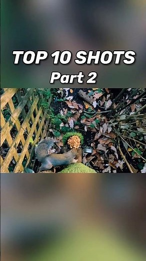 Top 10 Shots with the Leshiy 2 (Part 2)