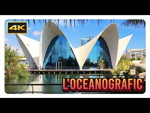 'L'OCEANOGRAFIC' 4K - Europe's Largest Aquarium in Valencia, Spain - Cinematic Tour