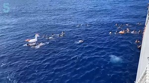 71K views · 230 reactions | The U.S. Coast Guard has released footage of crew members shooting at a shark. They say the shark approached around 40 of their crew who were swimming in the Pacific Ocean when a maritime enforcement specialist still on board fired at it. The Coast Guard says all of the crew members safely got out of the water and the shark, estimated to be six to eight feet (1.8-2.4 meters) long, appeared to be uninjured as it swam away. | Channel 5 News | Facebook