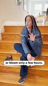 455K views · 10K reactions | Rachel's English on Reels | Facebook