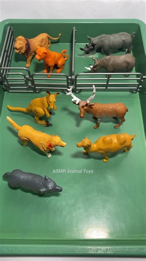 Wow.. 😱 Amazing Animal Toys Collection #zooanimals #wildanimals #animaltoys