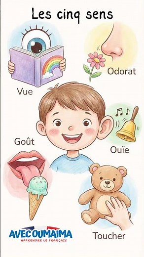 Connais-tu les 5 sens du corps humain ? #apprendrelefrançais