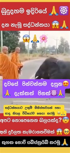 අපට නොදැනෙන බලයක්ද😱පුදුමයි😱🥺☸️🙏 #shorts #buddha #shortsfeed