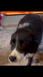 128K views · 6.3K reactions | TeamCasp47 on Reels | Facebook