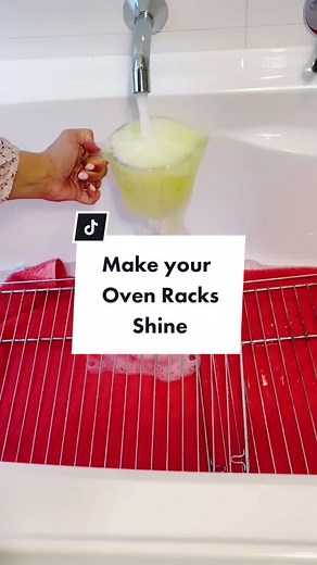 Effortless Oven Rack Cleaning Hack for Sparkling Results