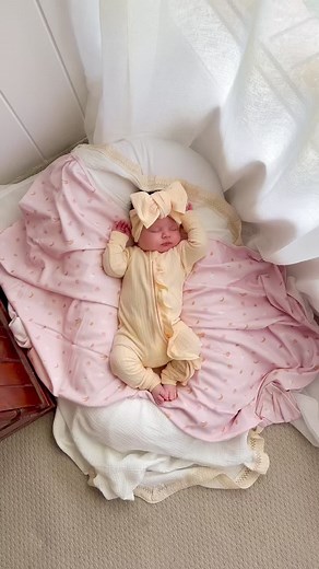 Little and Fern on TikTok