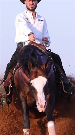 Understanding the Reining Experience at 7 Lakes Ranch