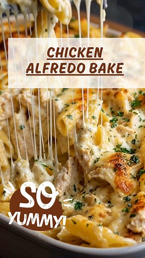 1.5K views | Chicken Alfredo Bake Creamy, cheesy, and baked to perfection — this Chicken Alfredo Bake is comfort food at its best. Ingredients  2 cups cooked chicken  300g penne pasta 燎 1 cup mozzarella 1 cup Alfredo sauce Salt, pepper, parsley Directions Cook pasta and combine with chicken and Alfredo sauce. Transfer to a baking dish, top with mozzarella. Bake at 180°C (350°F) for 20 minutes. Garnish with parsley. | Pasta Palooza | Facebook