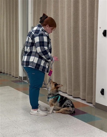 Our KK9 short courses--even on night #1 it's handler control AND when that happens it's successful training. Handler control and communication are key. When you have those two components--you have everything you need to train--and to train well. Our new handlers get it. Enroll at kramerk9training.com in our January 2026 training sessions. Like and share our Facebook page and videos. | Kramer K9 training