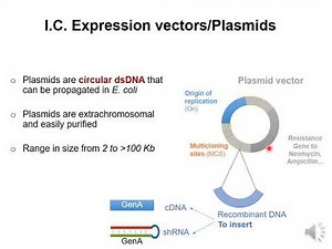 Video 1 Fusion Protein Recombinant DNA technology