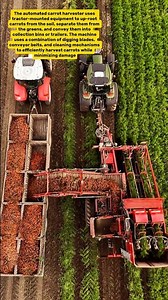 Automated Carrot Harvesting: Modern Farming Technology